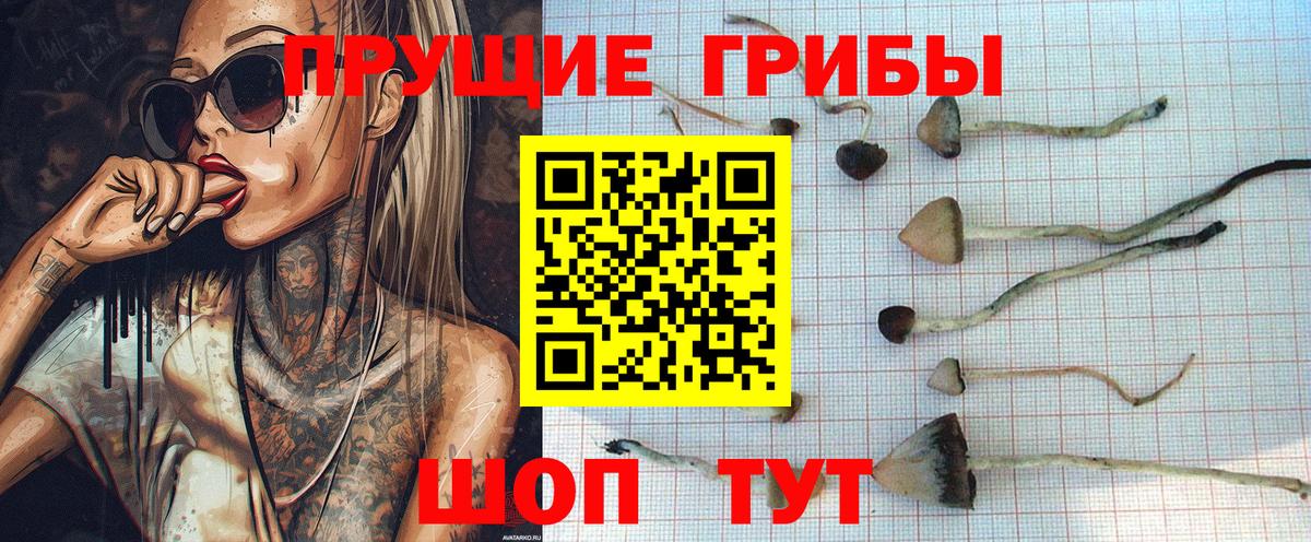 Псилоцибиновые грибы Magic Shrooms  Псилоцибиновые грибы GOLDEN TEACHER  Жигулёвск  Вход с VPN 
