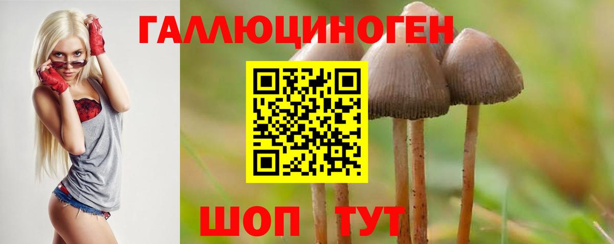 Псилоцибиновые грибы Magic Shrooms Жигулёвск